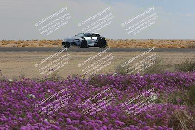 media/Feb-12-2023-Club Racer Events (Sun) [[9ed0490a96]]/1-Super Advanced (Red)/Session 3 (Turn 2)/